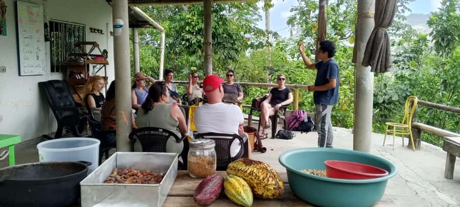Cacao Experience Tour - Practical advice for a better morning