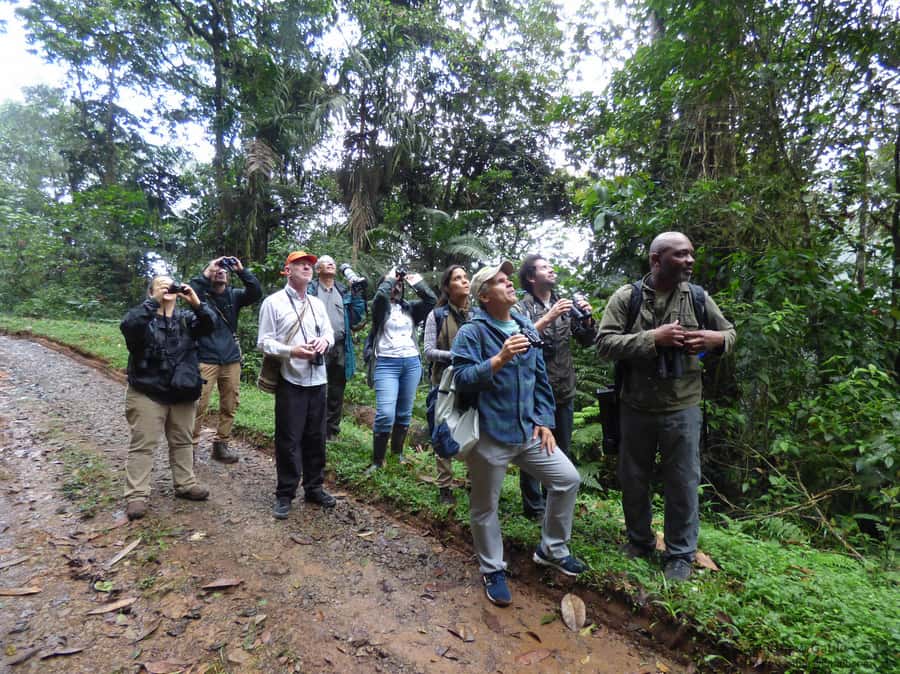 Cali: Bird Watching in The San Antonio Fog Forest - The farm and the Km18 roadside stop