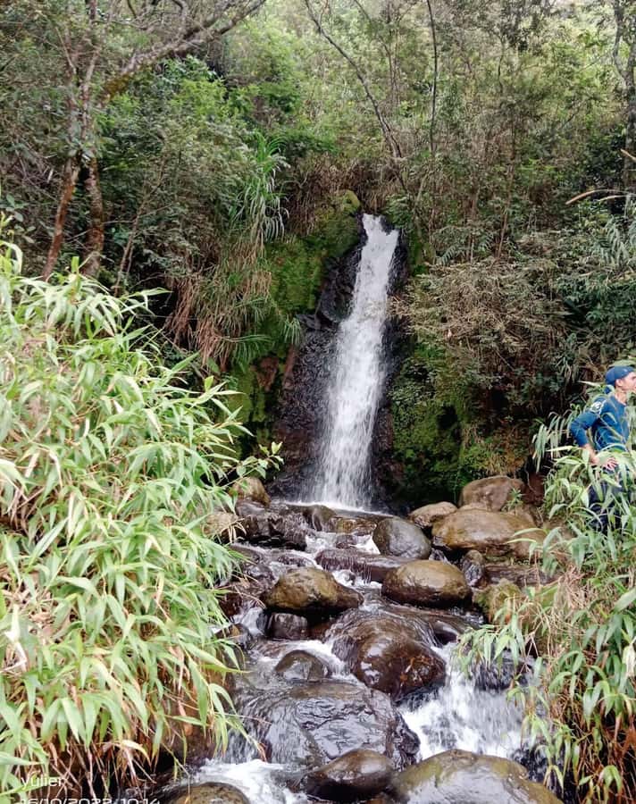 Cali: Cali River Waterfall and Great River Pools Tour - Key points to know