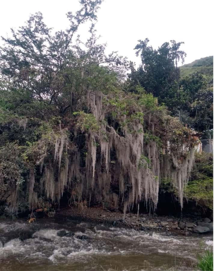 Cali: Cali River Waterfall and Great River Pools Tour - How hard is the walk?