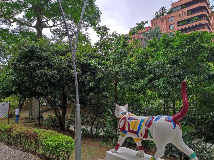 Cali: Cristo Rey, Tertulia Museum & Downtown Cali City Tour - Key points to know before booking