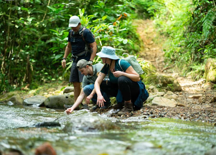 Cali: Hiking to the Pance waterfalls - Waterfalls That Double as Swimming Stops