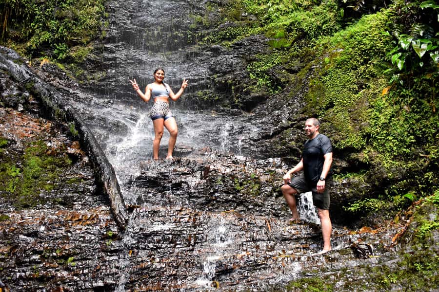 Cali: Hiking to the Pance waterfalls - Birdlife and the Ecology of the Hills