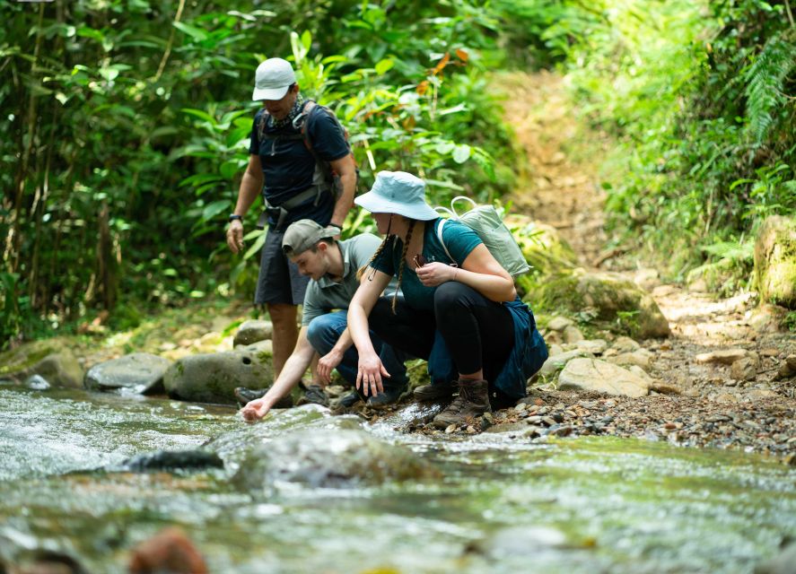 Cali: Hiking to the Pance waterfalls - A Regional Lunch in the Middle of the Day