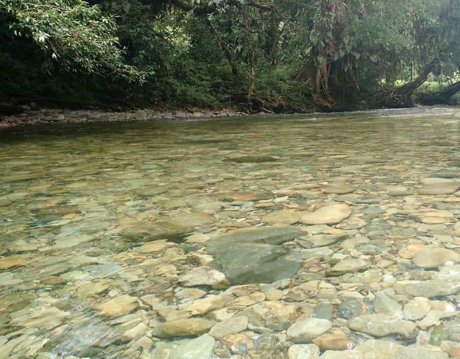 Cali: San Cipriano & River Adventure Day Tour - Should you book the San Cipriano day tour?