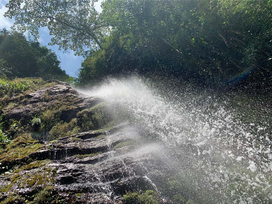 Cali: Tour of Waterfall in Pance River - Chorrera del Indio - Adding Pance Park and its 4-kilometer trail