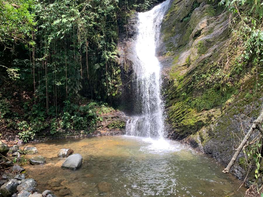 Cali: Tour of Waterfall in Pance River - Chorrera del Indio - What the $60 price includes
