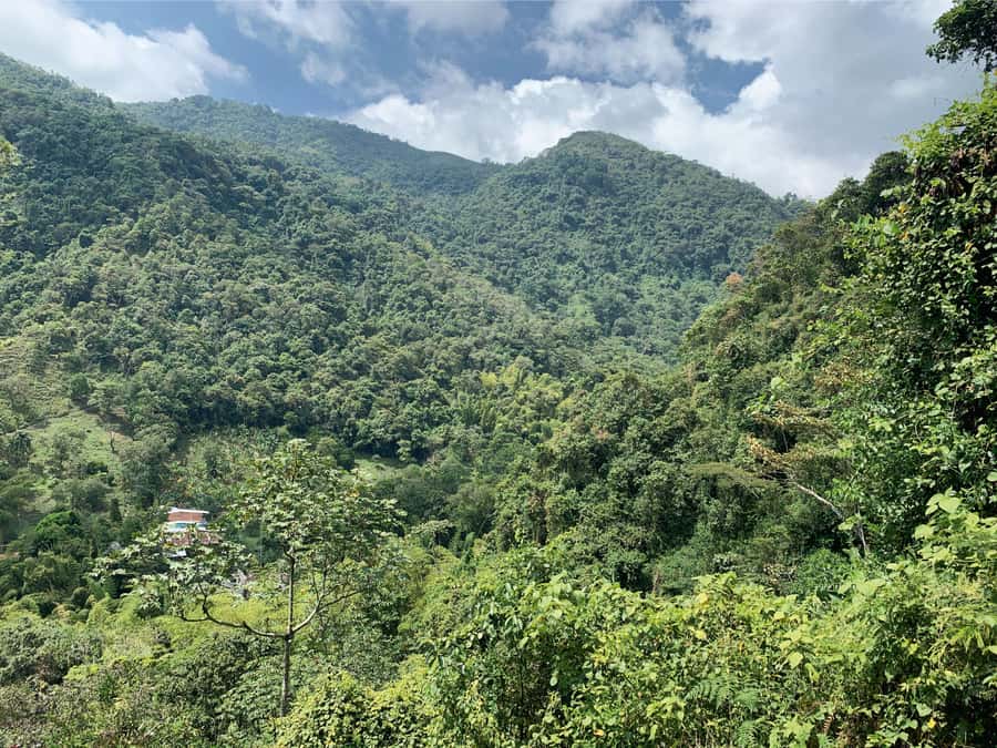 Cali: Tour of Waterfall in Pance River - Chorrera del Indio - Who will enjoy this river outing most