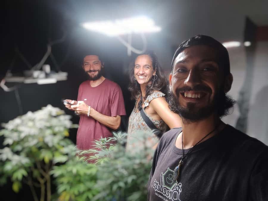 CANNABIS EXPERIENCE - What this Salento cannabis session actually offers