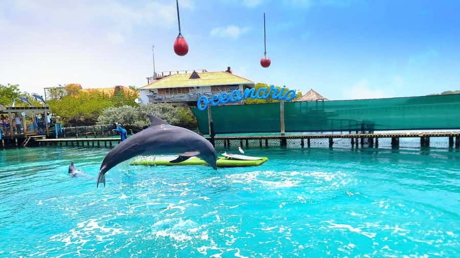 CARTAGENA: 4 islands by sport boat +oceanarium tickets - Key points to know before you book