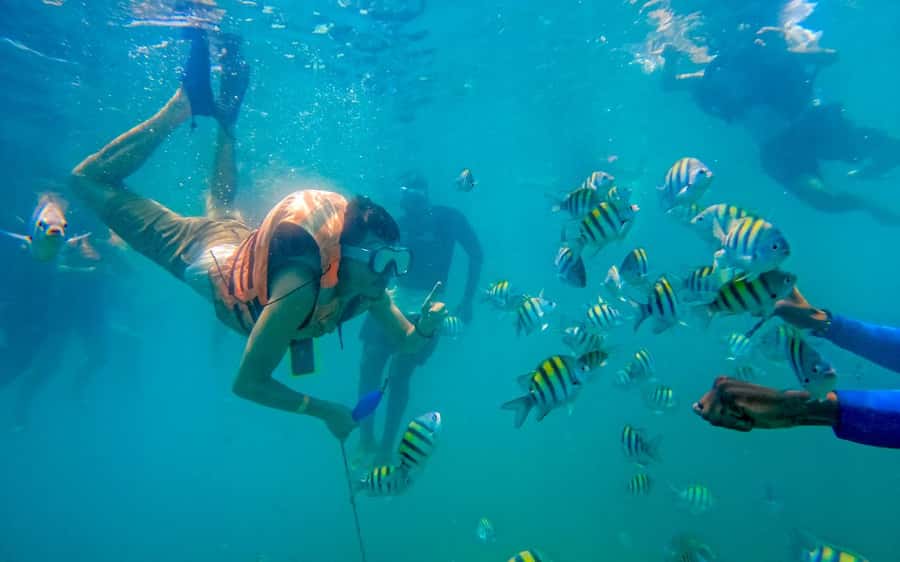 Cartagena: 5 Island Boat Tour with Night Bioluminescent Stop - Guides, languages, and the human side of the day