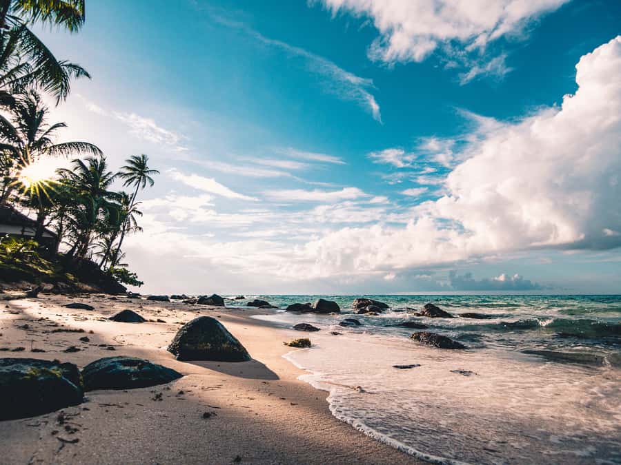 Cartagena: 5 Islands Boat Tour with Lunch, Snorkeling, & Bar - Key points to know before booking