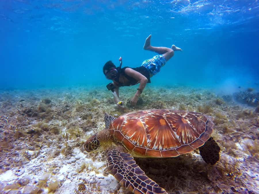 Cartagena: 5 Islands Boat Tour with Lunch, Snorkeling, & Bar - Five islands, one very full day