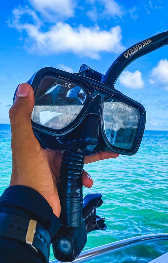 Cartagena: 5 Rosario Islands, Full party with drinks, Snorkeling and lunch - Who will enjoy this boat day most