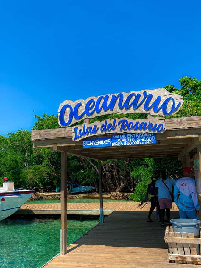 Cartagena: 5 Rosario Islands Tour with Snorkeling and Lunch - What this eight-hour island day is really like