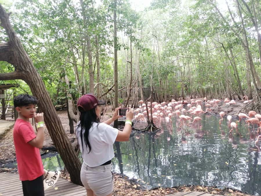 Cartagena: Aviary National Park Tour with Hotel Pickup - What You Can See Along the 17 Acres