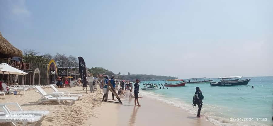 Cartagena: Barù Island Playa Blanca with Lunch - Three hours to swim, walk, and find your spot