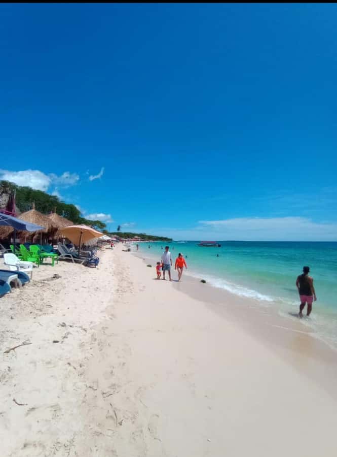 Cartagena: Barù Island Playa Blanca with Lunch - The early Cartagena pickup