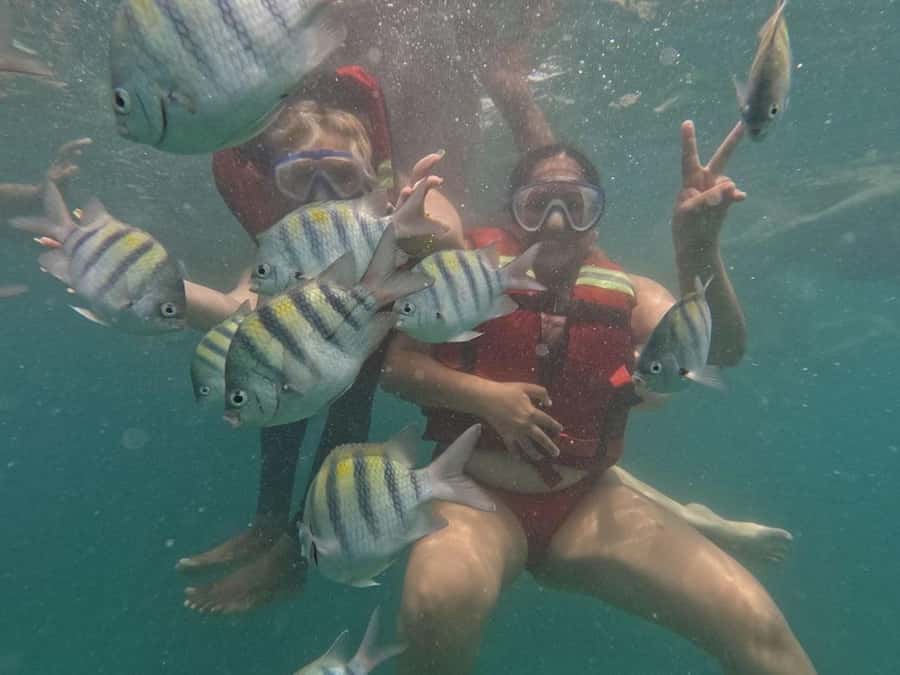 Cartagena: BARÚ Playa blanca with SNORKELING INCLUDED - Why this Barú day trip is worth considering