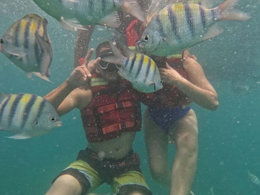 Cartagena: BARÚ Playa blanca with SNORKELING INCLUDED - The 75-minute road journey to Barú