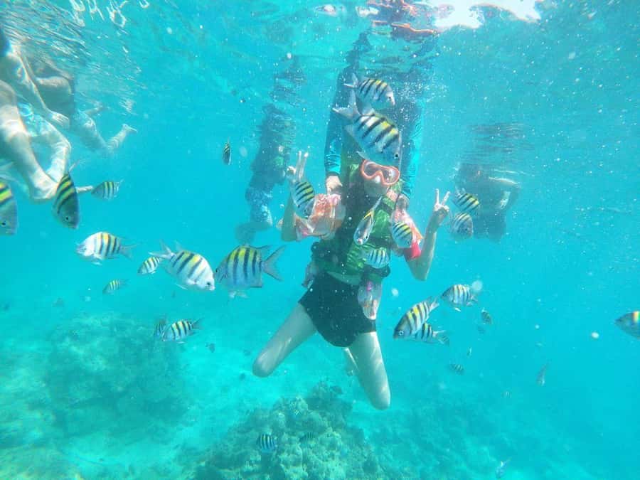 Cartagena: BARÚ Playa blanca with SNORKELING INCLUDED - A simple Caribbean lunch with three main choices