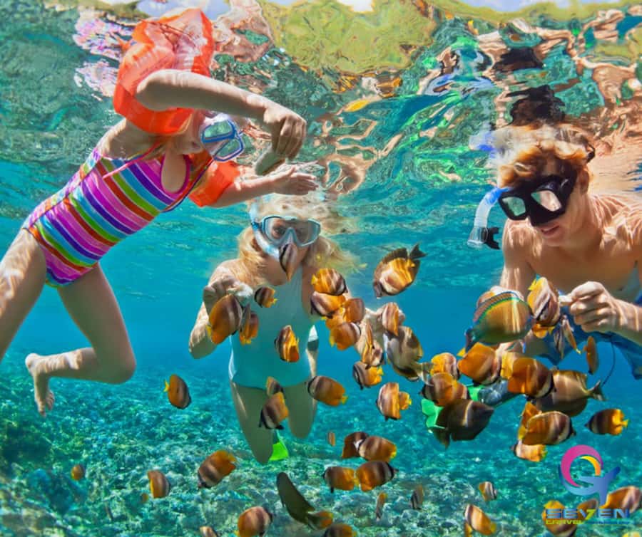 Cartagena: BARÚ Playa blanca with SNORKELING INCLUDED - Starting early from Cartagena’s five pickup areas