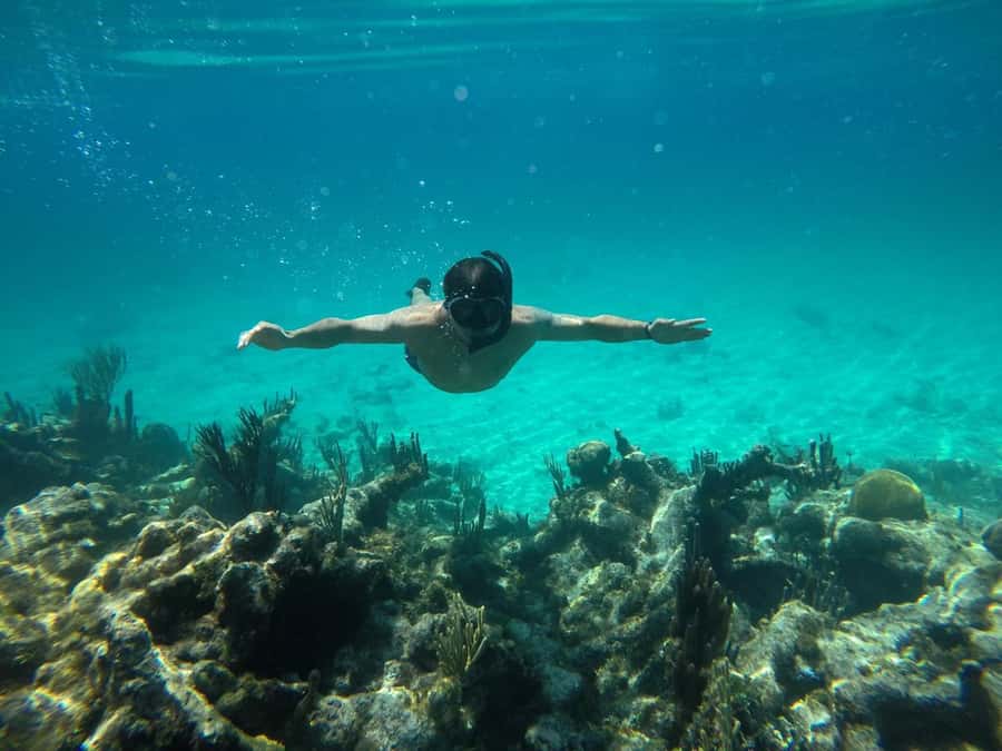 Cartagena: Basic Diving for beginners in Rosario Islands - What this Cartagena beginner scuba trip really offers