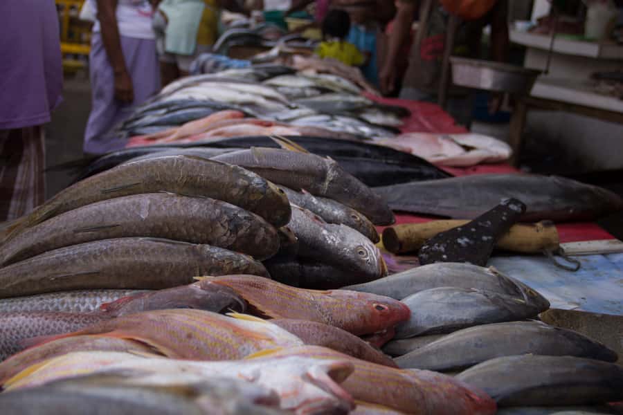 Cartagena Bazurto Market: Authentic Food & Culture Tour - Practical details that make the day easier