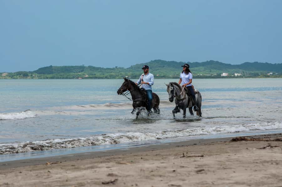 Cartagena: Beach Horse Ride and Colombian Equestrian Culture - Key points to know before you book
