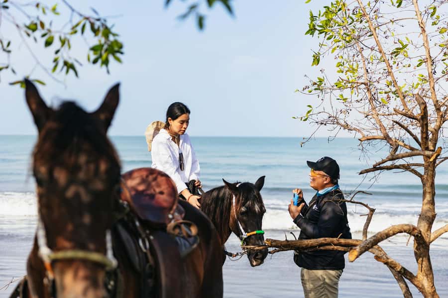 Cartagena: Beach Horse Ride and Colombian Equestrian Culture - A useful way to plan the rest of your day