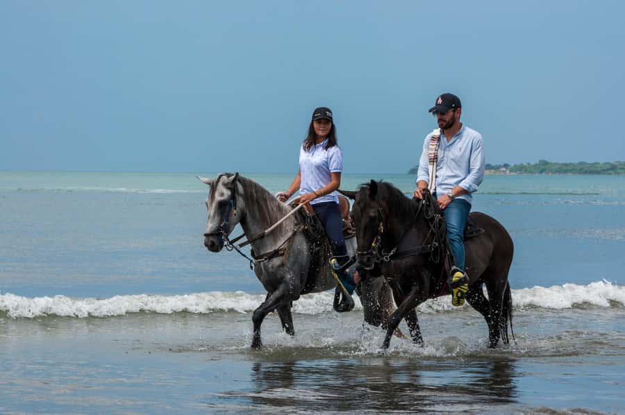 Cartagena: Beach Horse Ride and Colombian Equestrian Culture - At the ranch, the horses get the attention