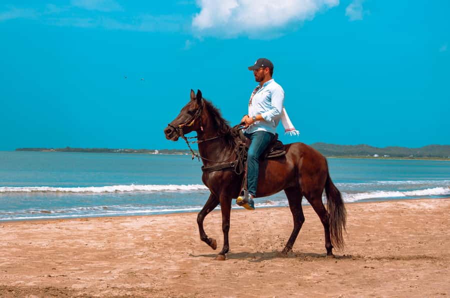 Cartagena: Beach Horse Ride and Colombian Equestrian Culture - The beach ride gives you time to slow down