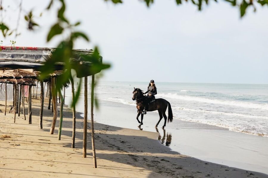 Cartagena: Beach Horse Ride and Colombian Equestrian Culture - Who will enjoy this most