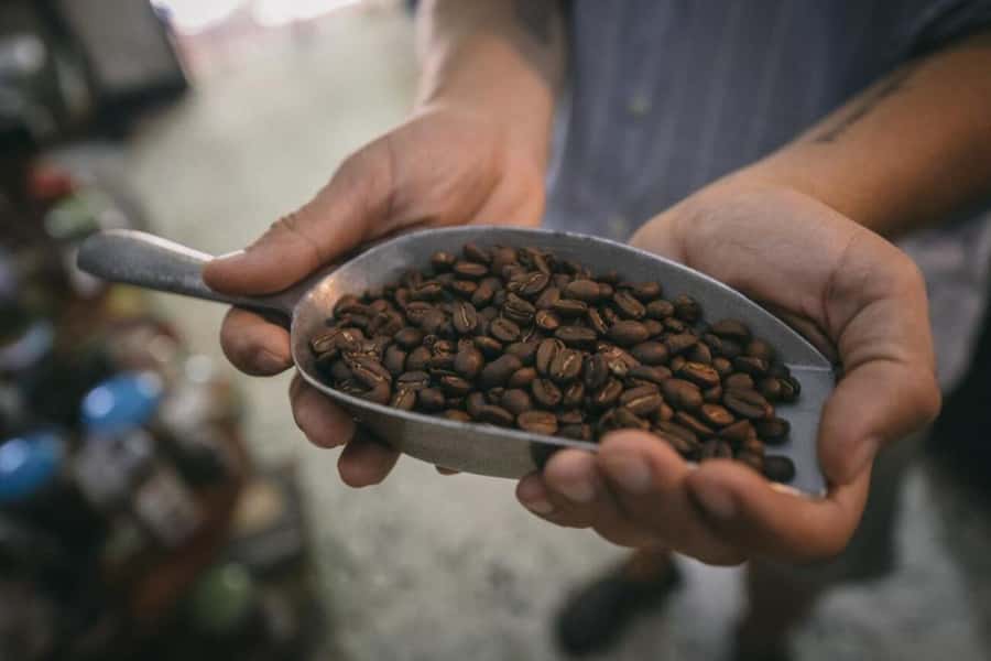 Cartagena Coffee Masterclass: Artisanal Roasting and Brewing - Brewing your own coffee with expert guidance