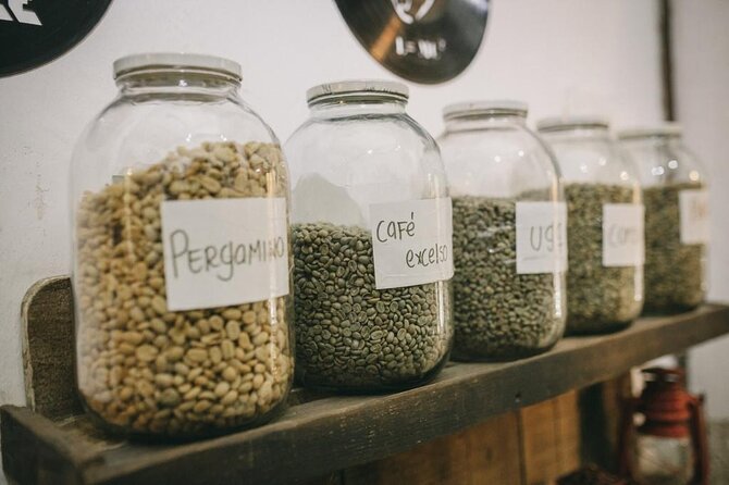 Cartagena Coffee Masters - What David’s Coffee Session Covers