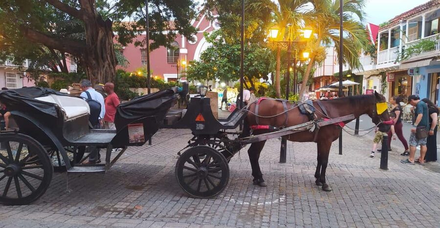 Cartagena: COLLONIAL HORSE DRAWN CARRIAGE by THE OLD CITY - Bolívar Park, shade, and Cartagena’s grand civic center