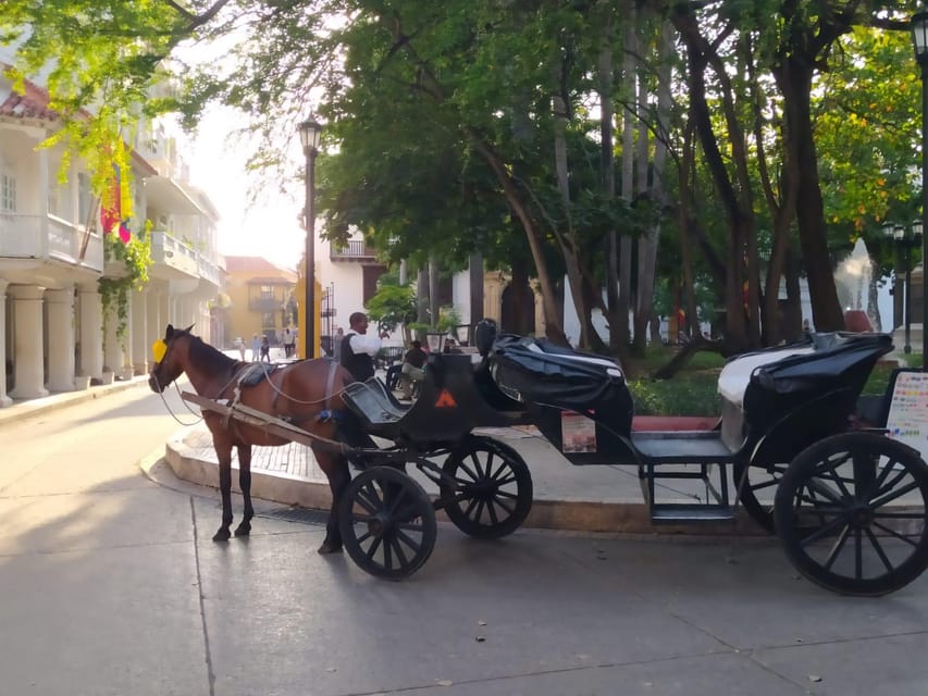 Cartagena: COLLONIAL HORSE DRAWN CARRIAGE by THE OLD CITY - Cartagena Cathedral and the architecture around it