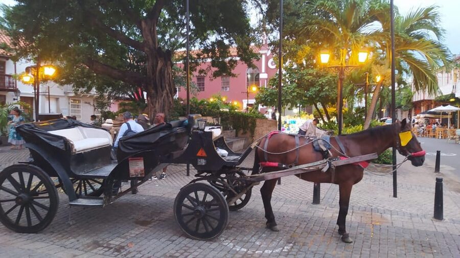 Cartagena: COLLONIAL HORSE DRAWN CARRIAGE by THE OLD CITY - Why the private carriage format matters