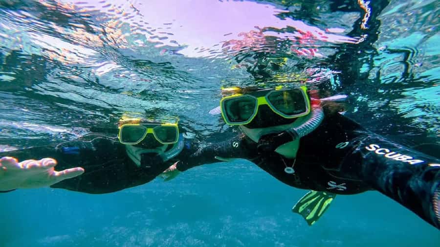 Cartagena: Coralina Island Day Trip with Lunch - Should you book this Coralina Island day trip?