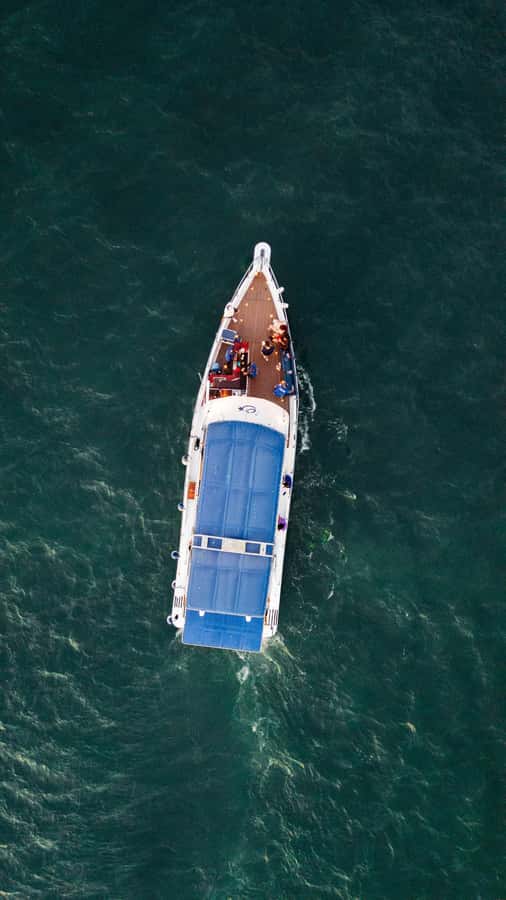 Cartagena: Cruise by the Bay with Dinner and Wine - Dinner, wine, and the onboard service