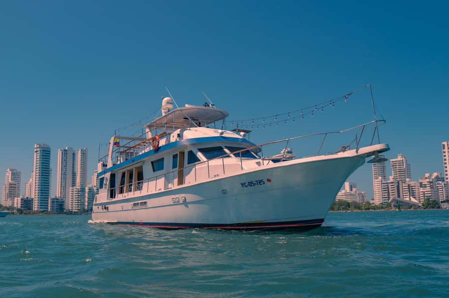 Cartagena: Cruise by the Bay with Dinner and Wine - Manga, Getsemani, and the inner bay after dark