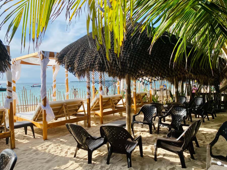 Cartagena: Day Trip Aviary and enjoy Playa Blanca by bus - Key points to know before booking