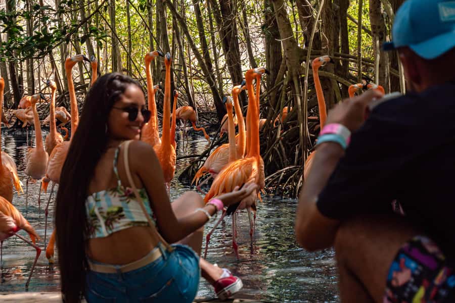 Cartagena: Day Trip Aviary and enjoy Playa Blanca by bus - The ride toward Barú