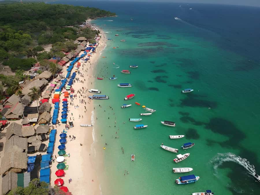 Cartagena: Daytour Aviary and Playa blanca, Barú by bus! - The bus transfer from the aviary to Playa Blanca