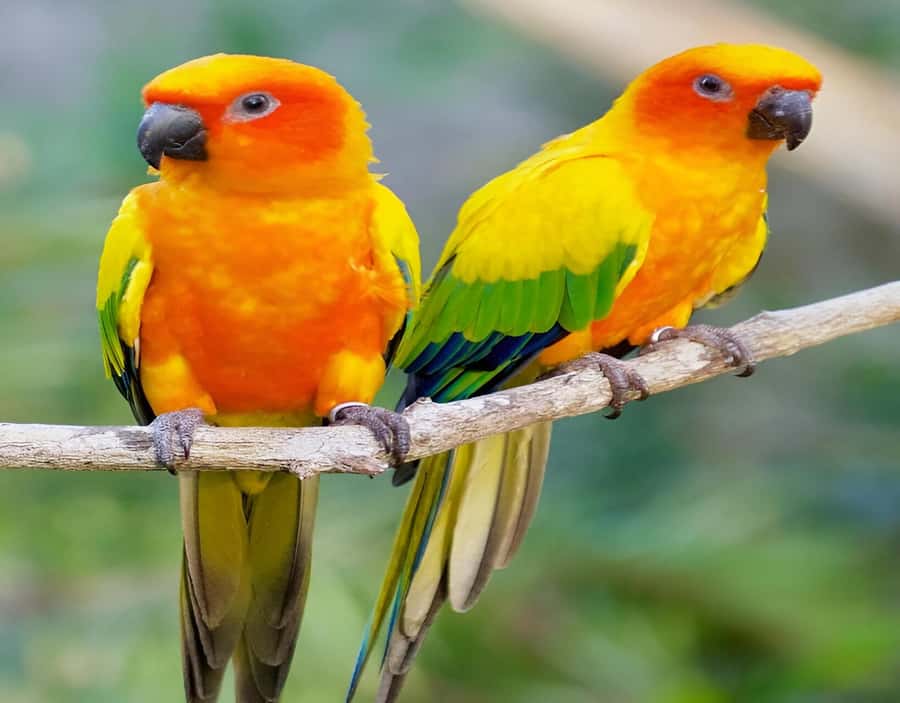 Cartagena: Daytour Aviary and Playa blanca, Barú by bus! - What Playa Blanca is really like