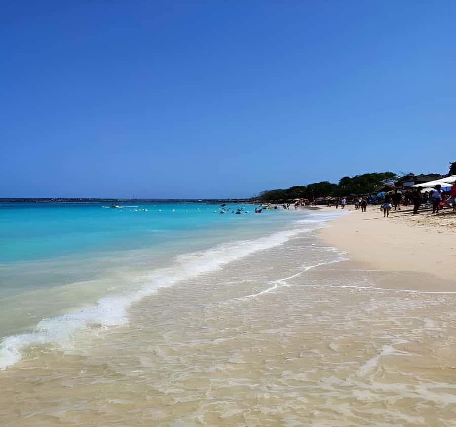 Cartagena: Daytour Aviary and Playa blanca, Barú by bus! - Lunch, seating, and extra costs