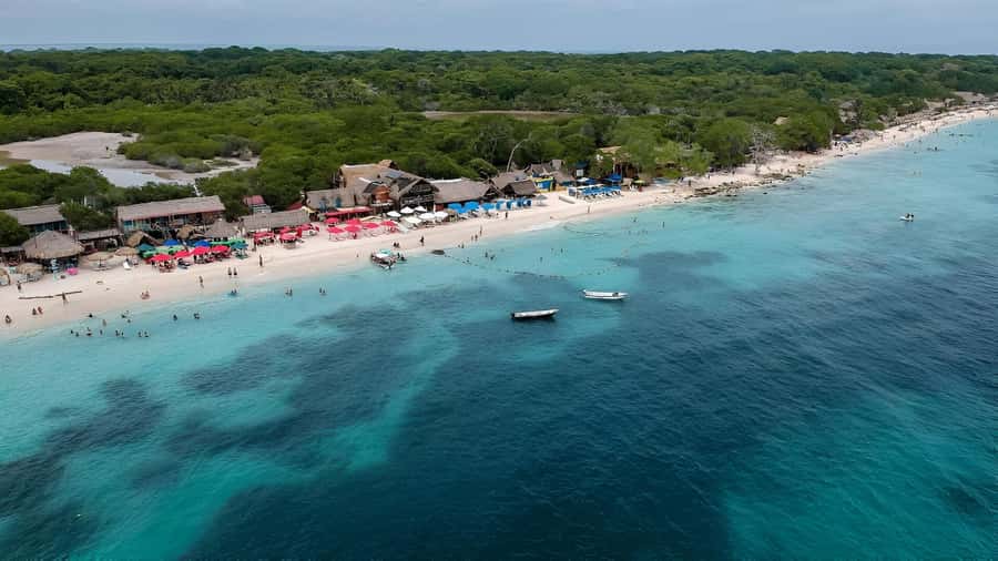 Cartagena: Daytour Aviary and Playa blanca, Barú by bus! - How the guide and group arrangements work