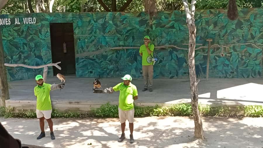 Cartagena: Daytour Aviary and Playa blanca, Barú by bus! - Colombia’s National Aviary from 9:15 to noon