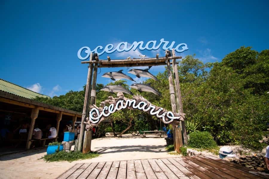 Cartagena de Indias: 2x1 Boat trip to the Rosario Islands and Baru Island - Checking in before the boat leaves