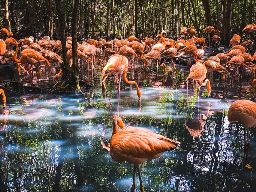 Cartagena: Ecoplan on Barú, Aviary and Oceanarium in one day - Is $68 a fair price?